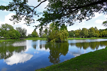 A tranquil view of a small lake or pond in a park in nuenen, reflecting the blue sky and scattered clouds. the scene is framed by lush green trees and a prominent weeping willow on a small island.