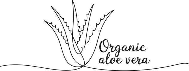 Aloe vera plant sketch, simple vector illustration, background, label design. One continuous line drawing art illustration with lettering organic aloe vera. one line Icon drawing