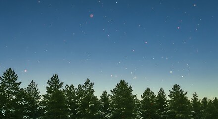 Winter forest landscape with snow covered trees and magical stars