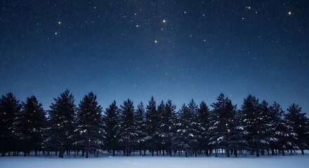 Winter night scene with snow covered trees and starry sky landscape