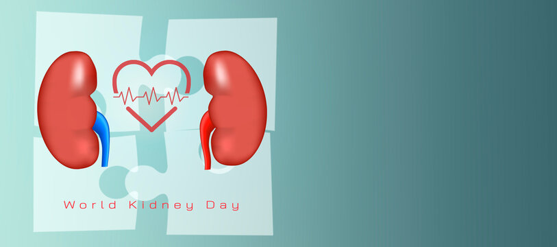 Kidney health awareness concept for World Kidney Day and organ donation, highlighting disease prevention, risk factors, wellness education, charity support on a vintage medical banner background. - Powered by Adobe