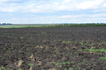 Freshly Plowed Agricultural Field Under a Cloudy Sky low angle