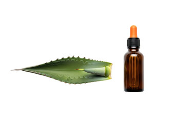 Isolated Agave leaf and amber essential oil bottle for aromatherapy and beauty skincare