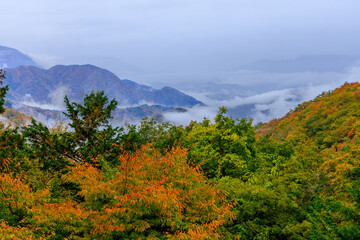 秋の山梨の山の紅葉と雲海