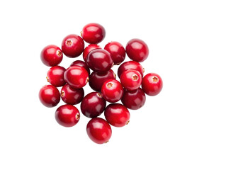 Isolated cranberries, raw and fresh, healthy eating ingredient for baking and cooking