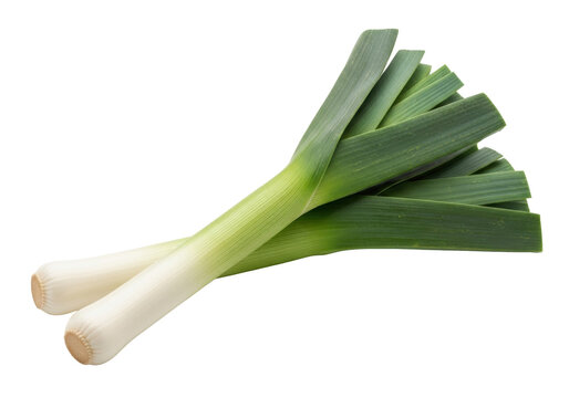 Isolated Leeks on Clear Backdrop Ready for Cooking, Two Fresh Vegetables for Culinary Uses