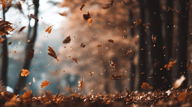 Falling autumn leaves in a forest with a blurry background and a ground covered in leaves