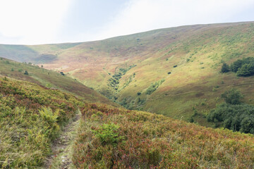 Naklejka premium Mountain Path in Borzhava Valley