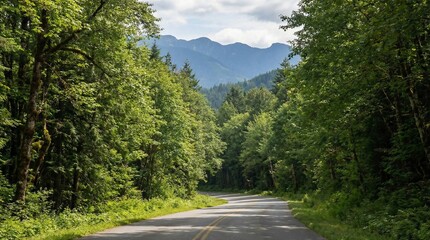 Fototapeta premium Scenic Road Through Lush Green Forest Leading To Distant Mountains