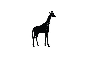Obraz premium Elegant giraffe outline clean black shape safari wildlife design vector art