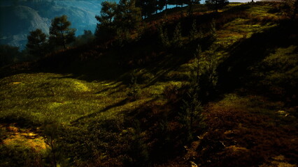 Golden sunlight spills across rolling hills, casting long shadows among the tall grass and trees. A serene landscape captures the beauty of nature in the magical hour of sunset.