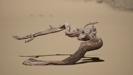 Fototapeta premium Driftwood with intricate shapes lies on soft, golden sand, illuminated by sunlight. The natural curves tell a story of time spent by the water, enjoying a peaceful moment in nature.