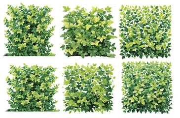 Fototapeta premium Architecture style entourage wall greening branch illustration