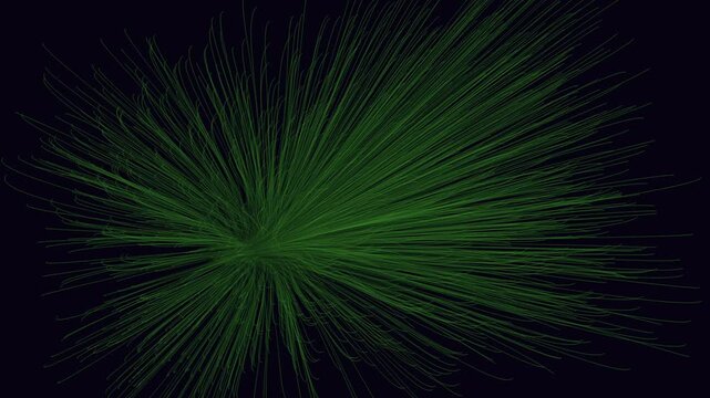 A lone green pine tree with slender branches stands out against a dark black backdrop in this simple and serene image