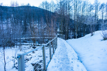 beautiful snowy winter landscape, cold misty morning weather, rural Germany, mountain village, frozen path, wooden pedestrian bridge in forest, tranquil nature scene, crisp alpine air