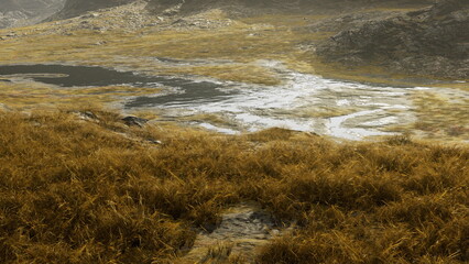 A serene landscape featuring golden grasses swaying in the breeze, surrounded by dark rock formations and a calm pond reflecting the early morning light. Natures beauty is captivating.