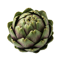Fototapeta premium Fresh Whole Green Globe Artichoke Vegetable