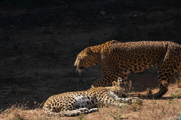 photography © SharadKumar