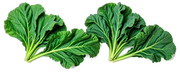 Fresh, vibrant kale leaves, perfect for a healthy meal. The crisp green leaves are a symbol of freshness and nutrition