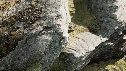 Gray rocks showcase their intricate textures and patterns in a lush forest. Sunlight filters through trees, illuminating the scene with natural beauty. Moss and greenery add life to the rocks.