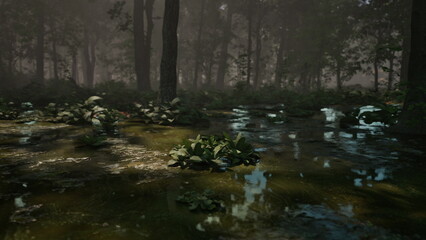Morning light filters through trees in a serene forest, creating beautiful reflections on the water. Green plants thrive, adding life to this tranquil setting filled with natural wonder.