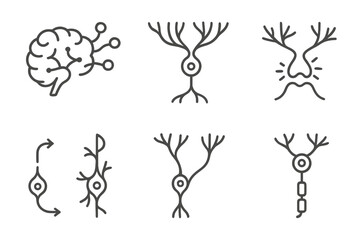 Obraz premium Neural Network Expansion. Line style icons of brain growth and rewiring: expanding neural network, growing dendrites, strengthened
