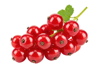 Isolated bunch of red currants with green leaf, fresh summer seasonal food ingredient