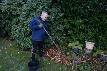 A man removes fallen leaves in an autumn garden.