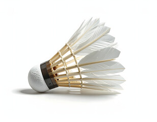 A single badminton shuttlecock, with its feather and white head, is isolated next to a racket for sport play and leisure activity