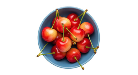 Isolated Rainier cherries in blue bowl delicious, sweet, organic fruit snack, nutrition food