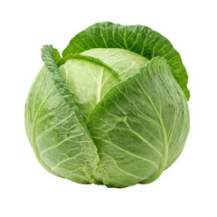 Fototapeta premium Fresh Whole Green Cabbage Vegetable Head