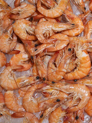 Shrimp. Shrimp on ice on the counter. Food background with shrimp
