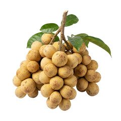 Bunch Of Fresh Sweet Longkong Fruits With Leaves