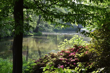 spring lake © Emilia