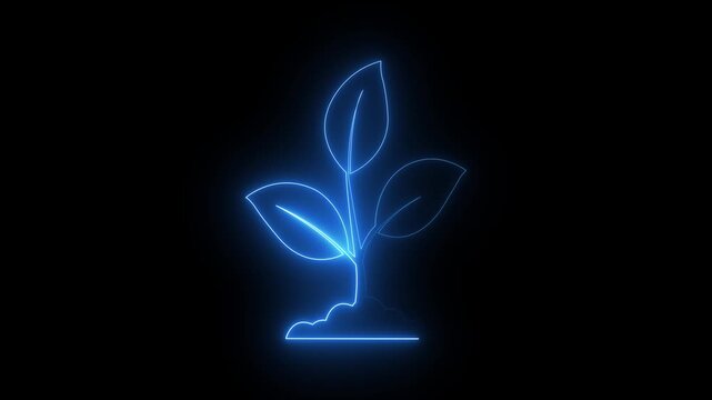 Glowing green neon plant sprout with two leaves icon, symbolizing sustainability, ecology, renewable energy nature on a black background.