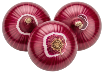Isolated Still life of fresh whole red onions ready for food prep in a professional kitchen