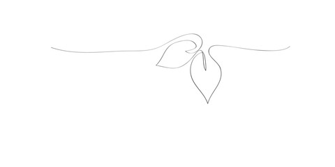 Minimalist continuous line drawing of two delicate leaves on a thin stem elegant graphic design.