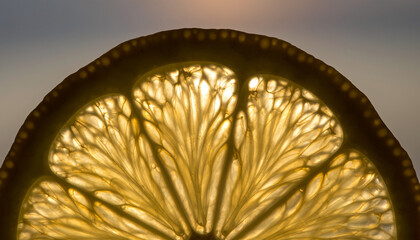 A close-up, backlit view of a citrus fruit slice, revealing its intricate internal structure and vibrant, translucent segments.