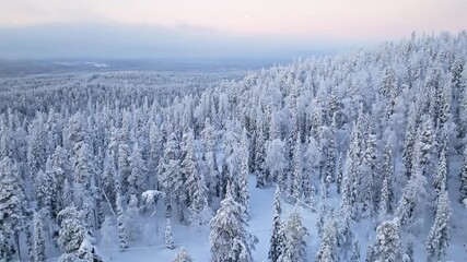 Drone flyover a snowy forest trail, polar night sky with the moon in Lapland - Powered by Adobe