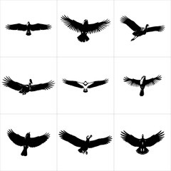 Black silhouettes of eagles in flight, isolated on white background