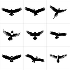 Multiple black eagle silhouettes flying with wings spread, various poses