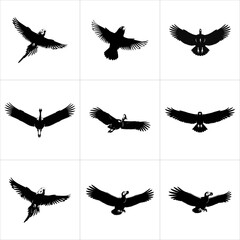 Set of black bird silhouettes in various flight poses, isolated on white background