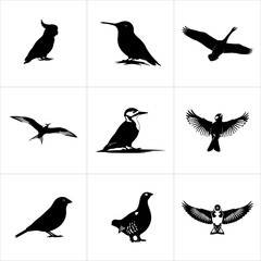 Nine black bird silhouettes in various poses, isolated on white background