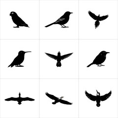 Collection of various bird silhouettes in flight and perching, isolated on white background