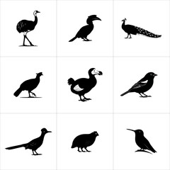 Various black bird silhouettes isolated on white background