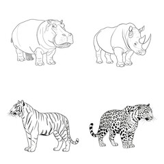 Set of wild animal line art illustrations: hippopotamus, rhinoceros, tiger, and leopard on transparent background for design and educational use.