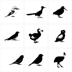 Collection of various bird silhouettes isolated on white background