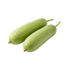 Two Fresh Green Sponge Gourd Vegetables