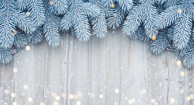Top border of blue frosted pine branch on white wooden plank, with snow and gold bokeh. Symbolizes winter holiday, festive season, christmas concept