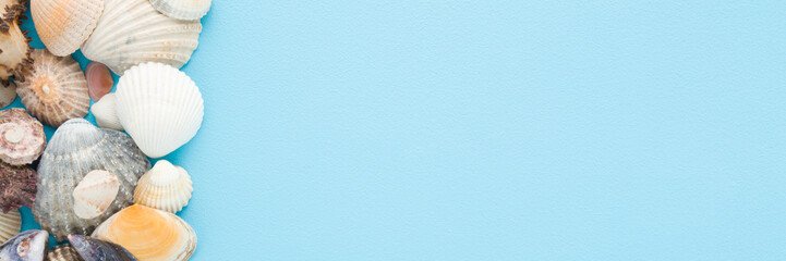 Different beautiful colorful sea shells on light blue table background. Pastel color. Closeup. Wide banner. Empty place for text. Top down view.